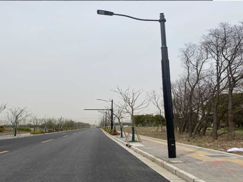 洋县上海综合杆 太阳能路灯工程